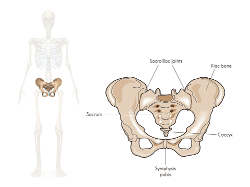Pregnant with pain: coping with pelvic instability ('pelvic girdle pain') -  Dr Chris Russell