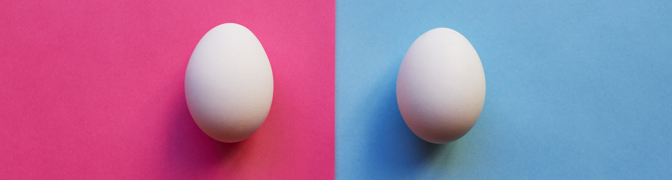 two chicken eggs side by side on different coloured backgrounds